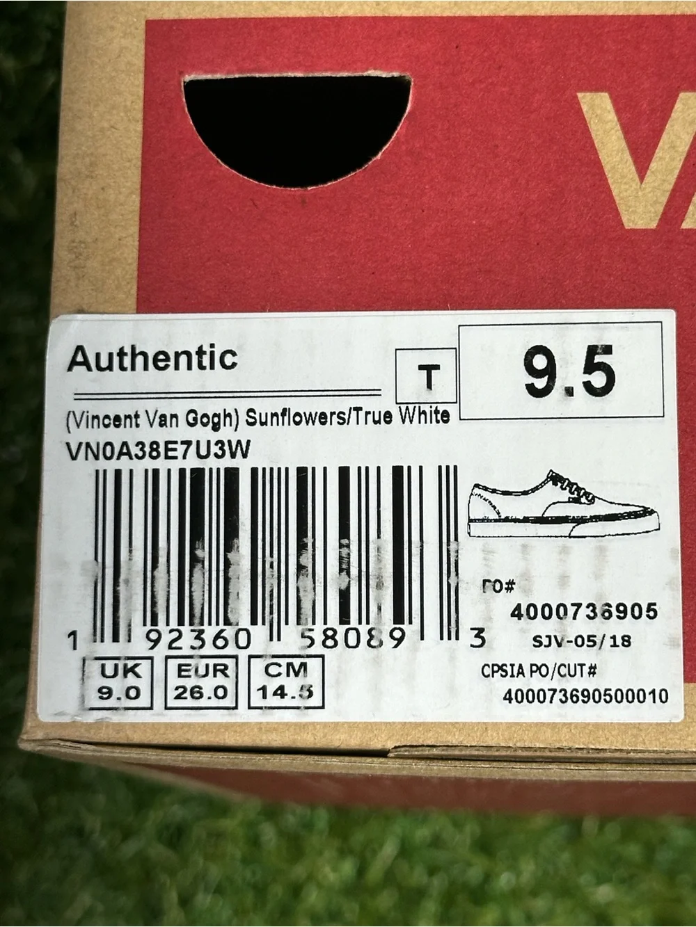 Vans rare vincent